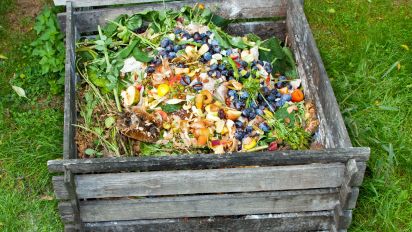Il compost: cosa si può e cosa non si può utilizzare